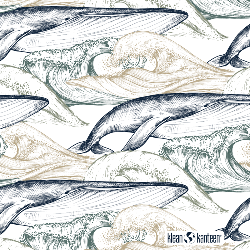 20oz-tkwide-with-twist-cap-ocean-day-u4 20oz_tkwide_bottle_seasonal_ocean_day_whale_artwork_square.png