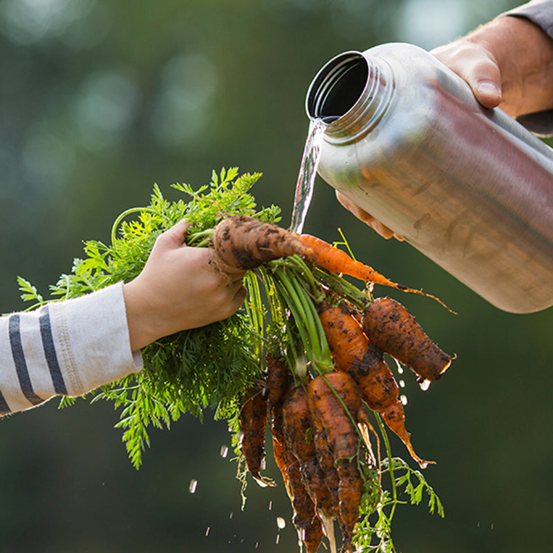 64oz-wide-with-loop-cap-f0 64oz_wide_mouth_bottle_carrots_rinse_square.jpg